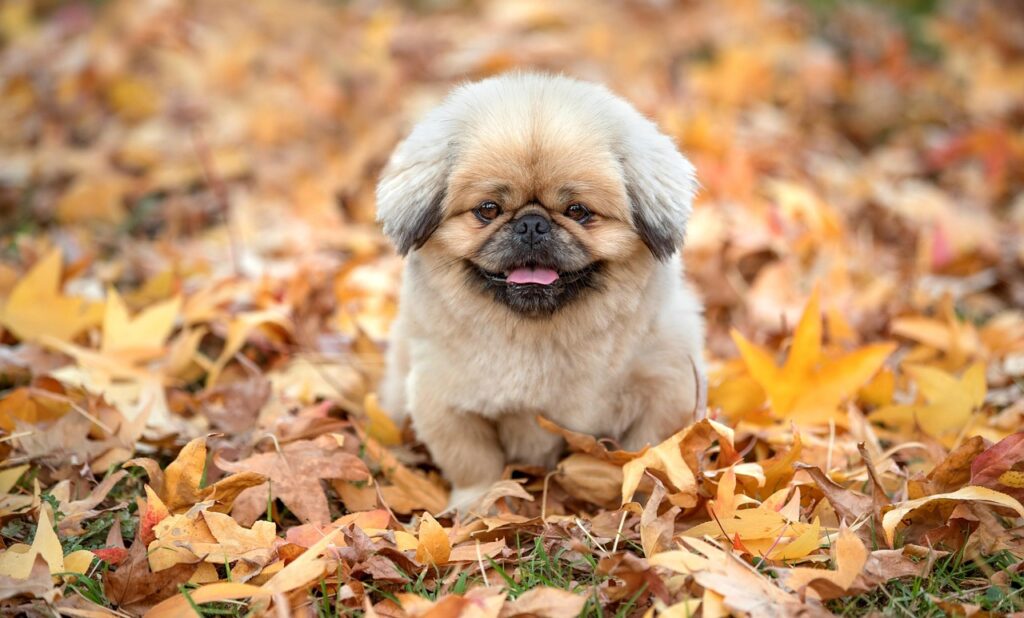 ストレートネックに効果的な矯正枕の使い方は？