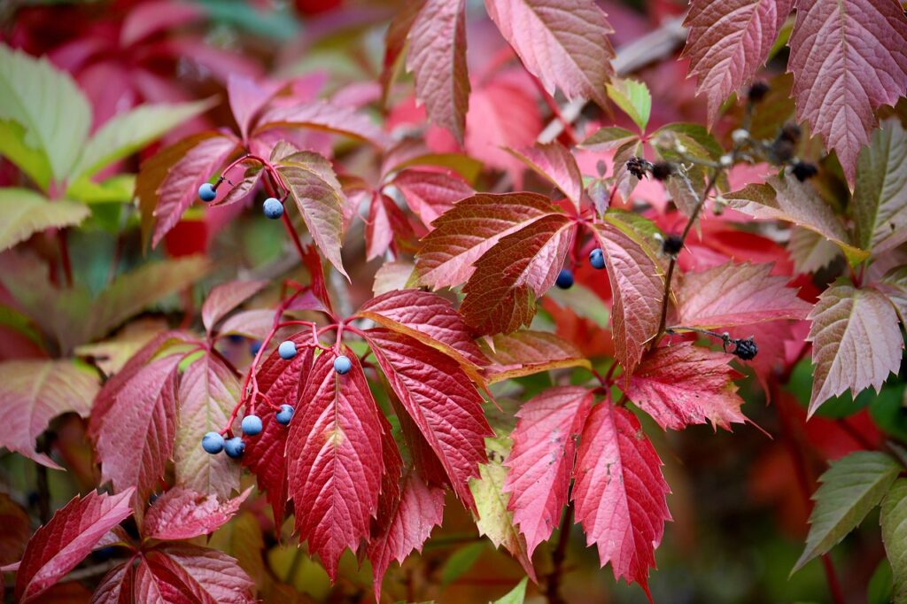 巻き肩のセルフチェック方法はどのように行うべき？