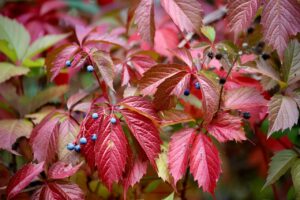 巻き肩のセルフチェック方法はどのように行うべき？