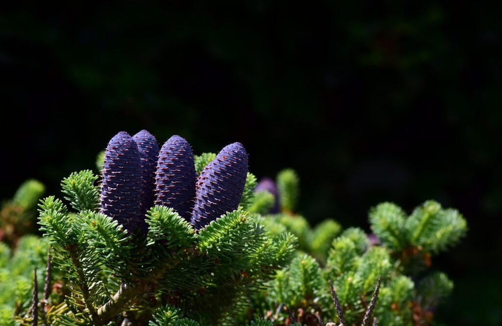 二重あご解消に効果的な整体の方法は？