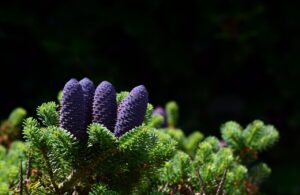 二重あご解消に効果的な整体の方法は？