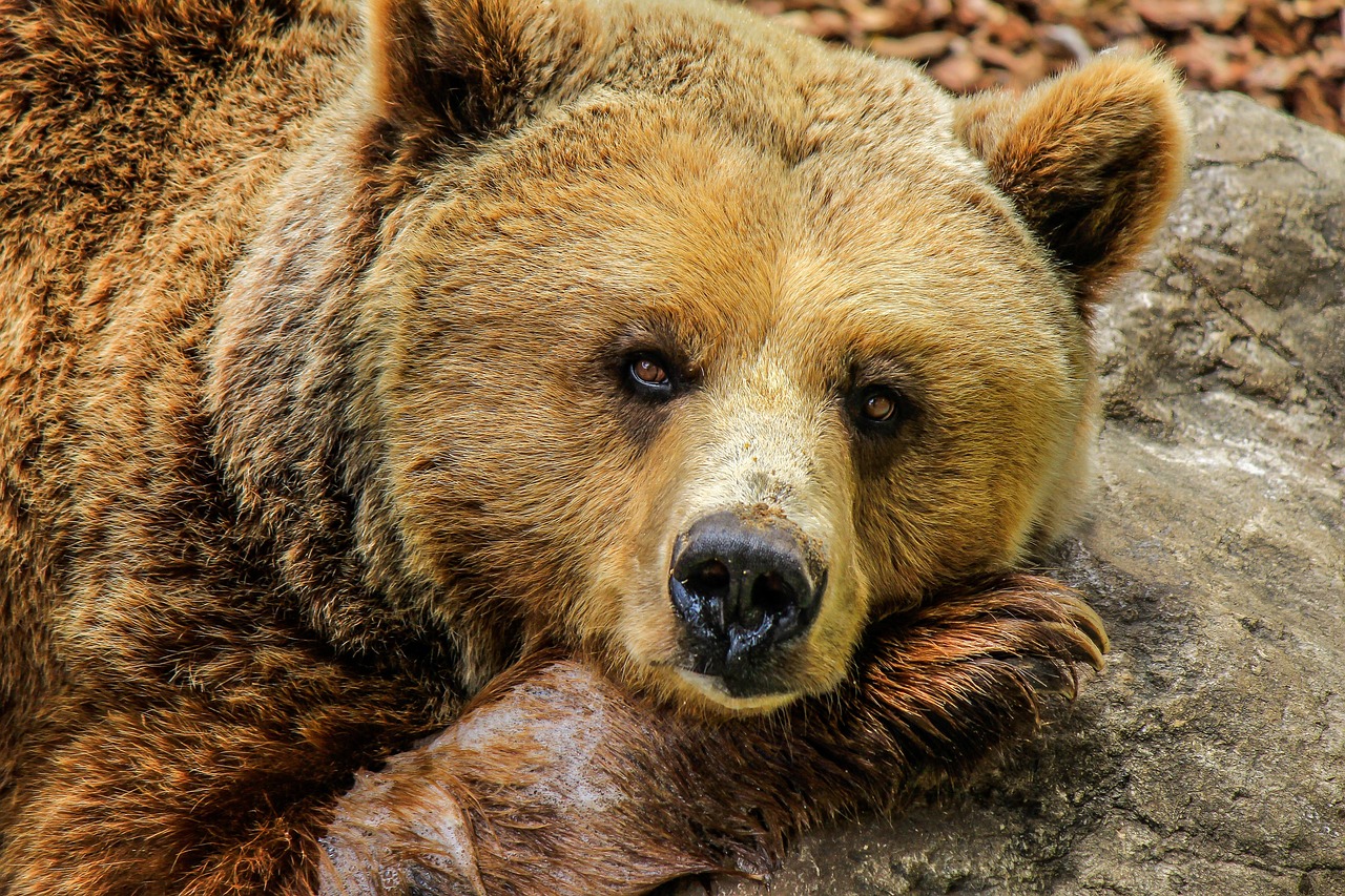 目の下のクマを改善する整体の効果とは？