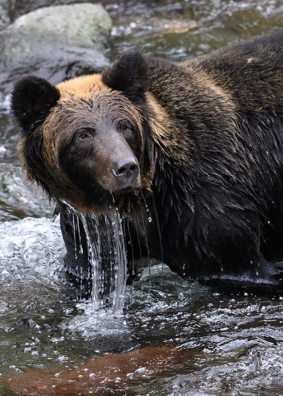目の下のクマを整体で改善する効果はどのくらい？