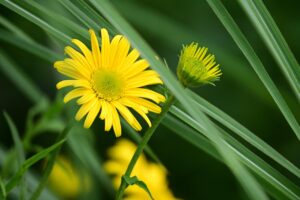 肩こりを解消する美容整体の効果とは？