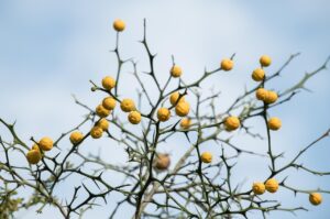 東京で美容整体を受ける際の初回割引はある？