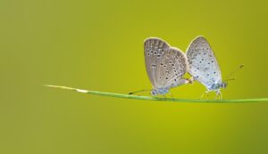 東京の美容整体でペア割があるお得な施術とは？