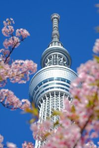 東京で美容整体を受けてくびれを手に入れるための姿勢矯正方法は？