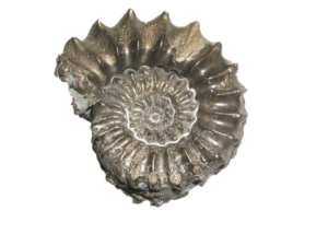 東京で美容整体を受けて下腹のぽっこりを解消する骨盤矯正の方法は？