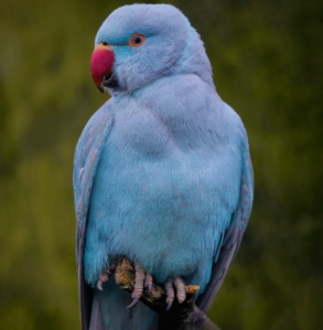 東京で美容整体を受けながらストレートネックを改善するストレッチ法は？