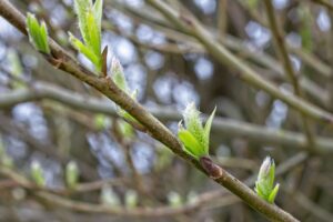 東京の美容整体で肩こりが悪化する原因とは？