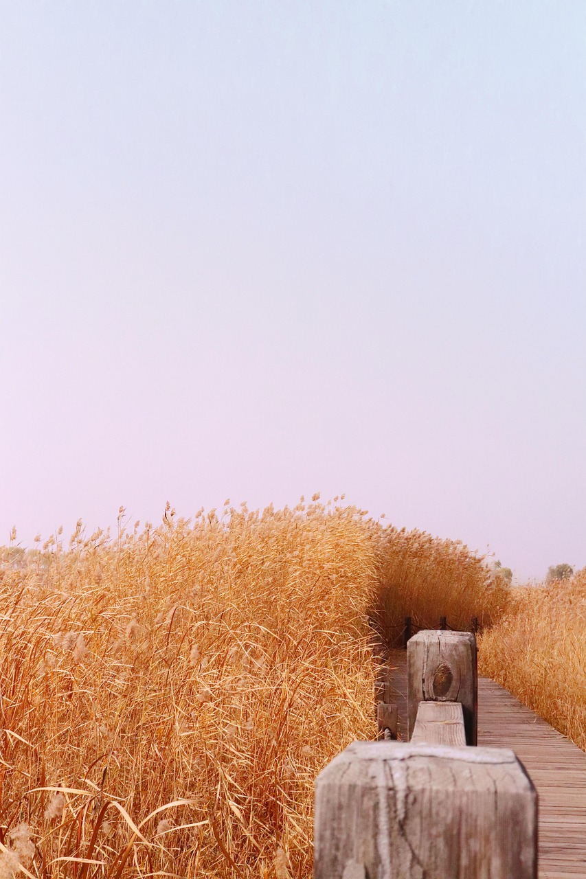 東京美容整体でストレートネックに最適な枕の選び方は？